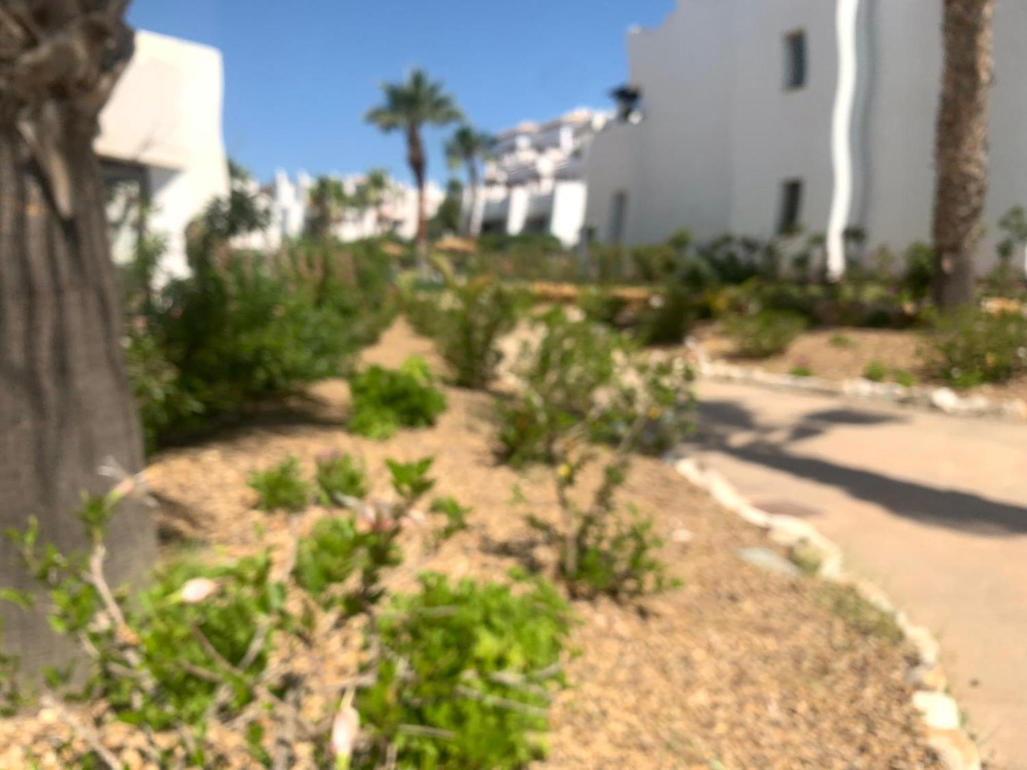 Apartamento Las Salinas 1389 Vera Exterior photo